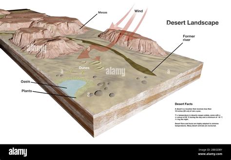 desert geological formations.